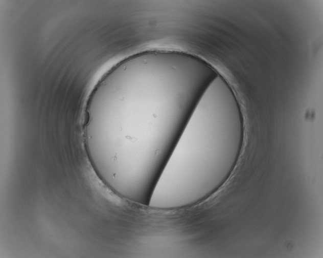 X0000111051248200906251112