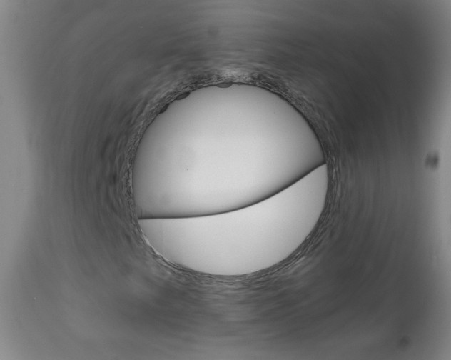 X0000111051249200906251111