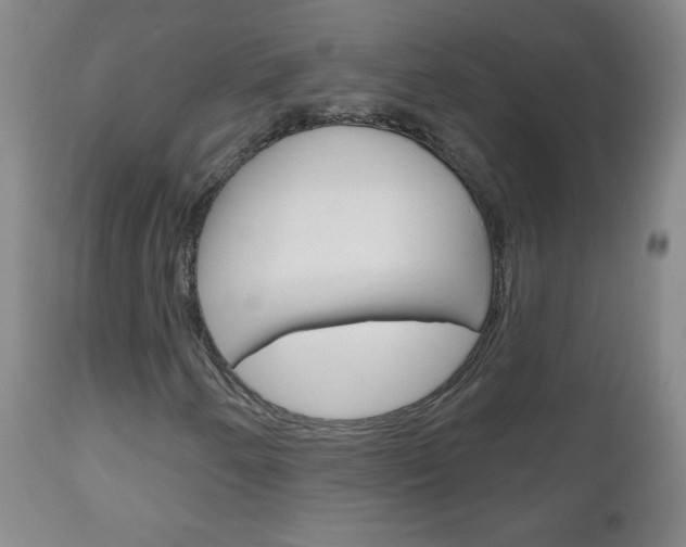 X0000111051250200906251111