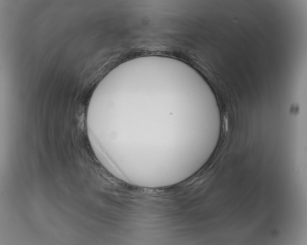 X0000111051251200906251111