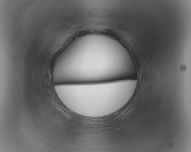 X0000111051252200906251111