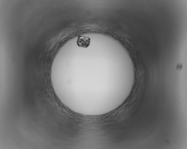 X0000111051253200906251111