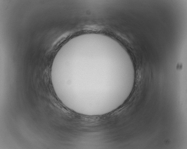 X0000111051254200906251111