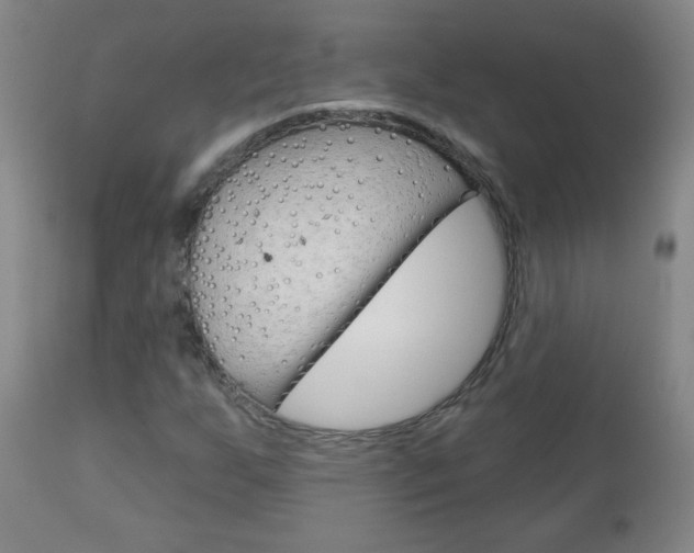 X0000111051255200906251111