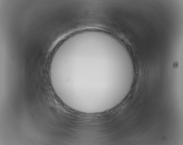 X0000111051256200906251111
