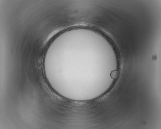 X0000111051258200906251111