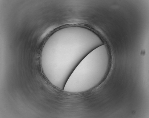 X0000111051259200906251111