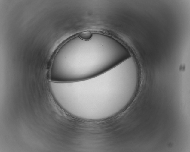 X0000111051260200906251110