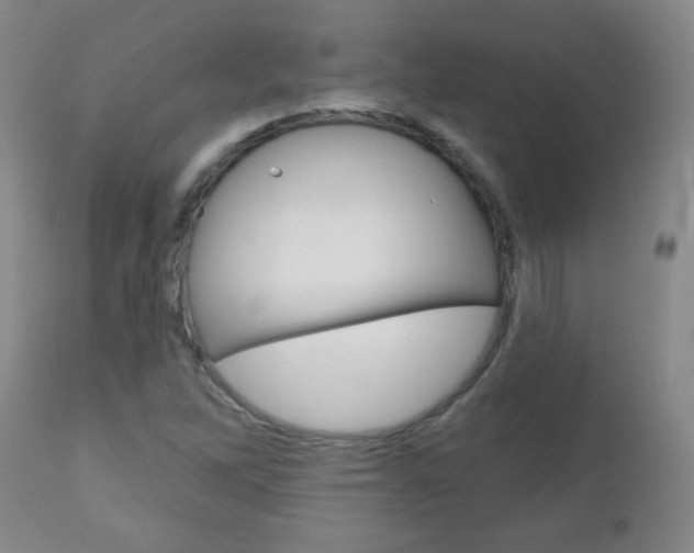 X0000111051262200906251110