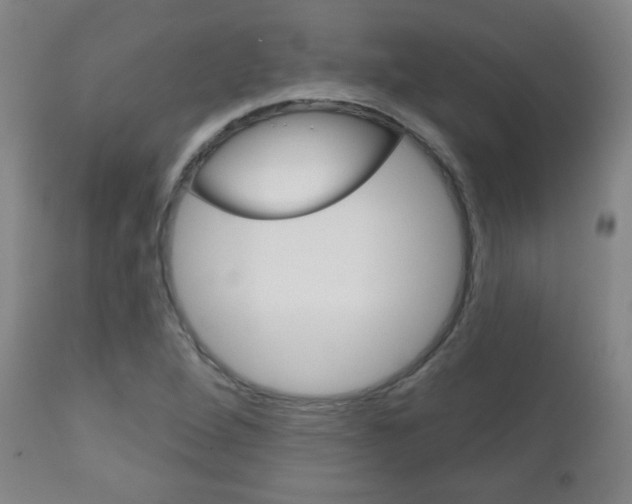 X0000111051264200906251110