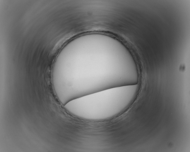 X0000111051265200906251110