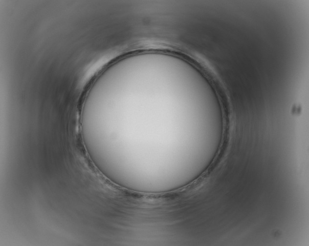 X0000111051269200906251110