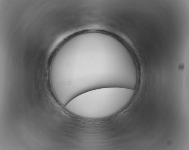 X0000111051270200906251110