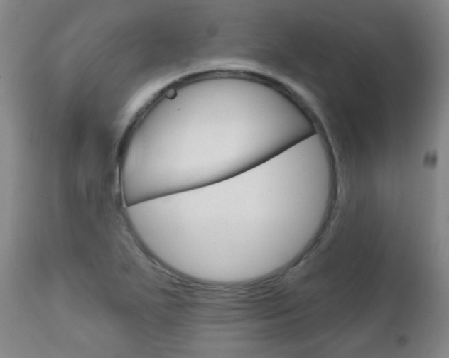 X0000111051271200906251110