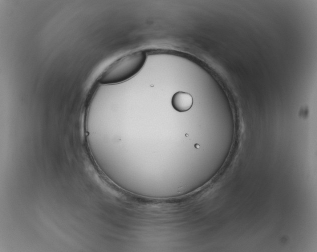 X0000111051272200906251110
