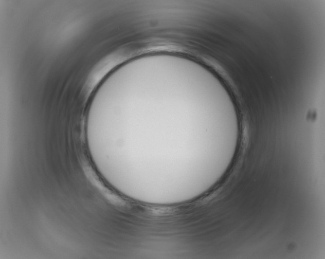 X0000111051274200906251110