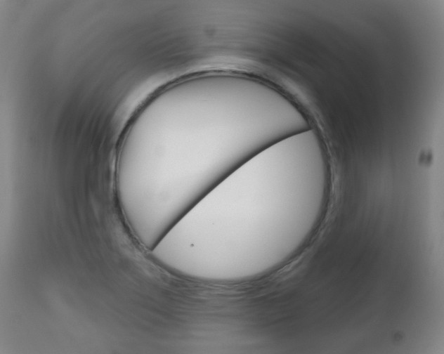 X0000111051275200906251110