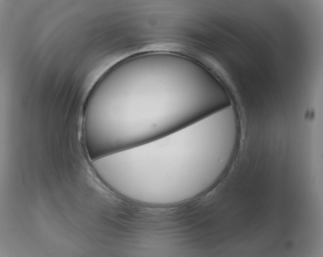 X0000111051276200906251110