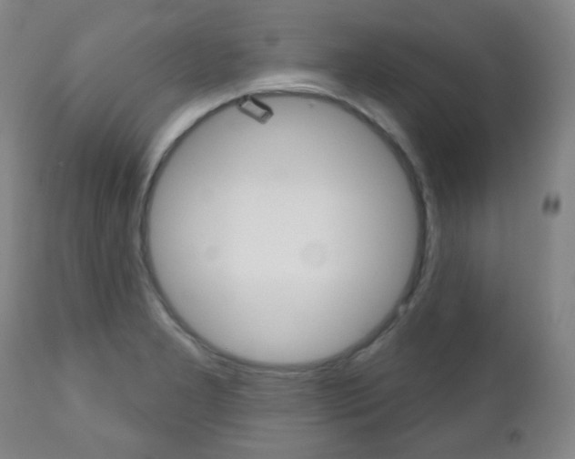 X0000111051277200906251110