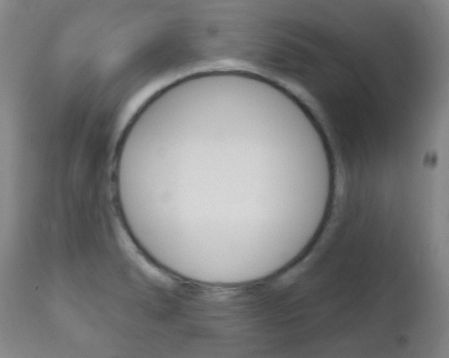 X0000111051278200906251110