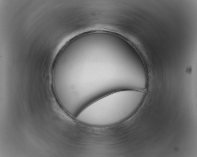 X0000111051280200906251110