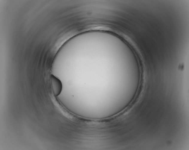 X0000111051281200906251110