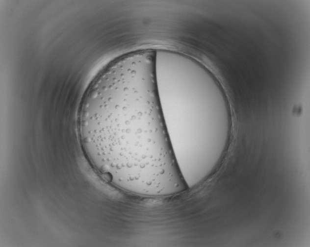 X0000111051283200906251110