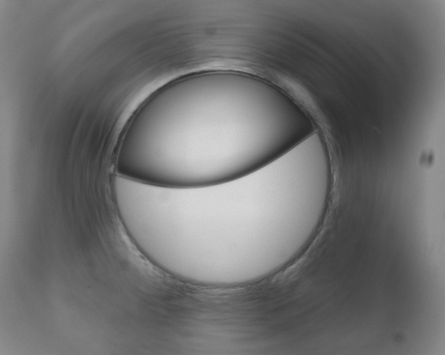 X0000111051284200906251110