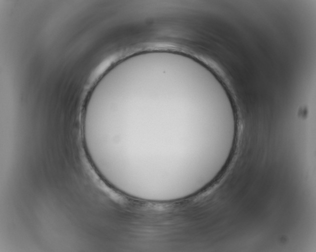X0000111051286200906251110