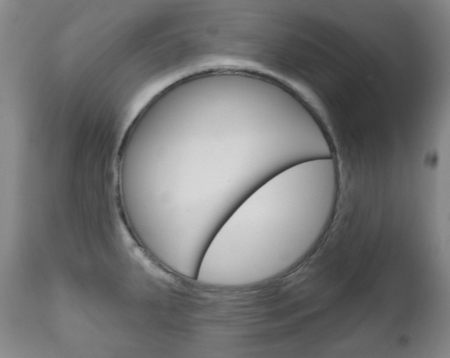 X0000111051287200906251110