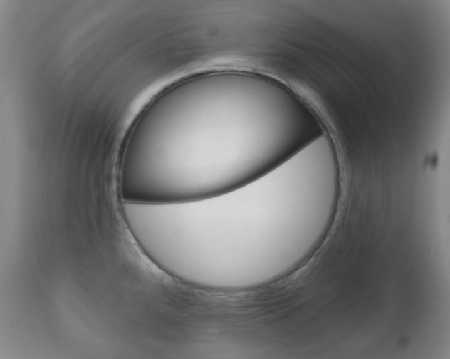 X0000111051288200906251110