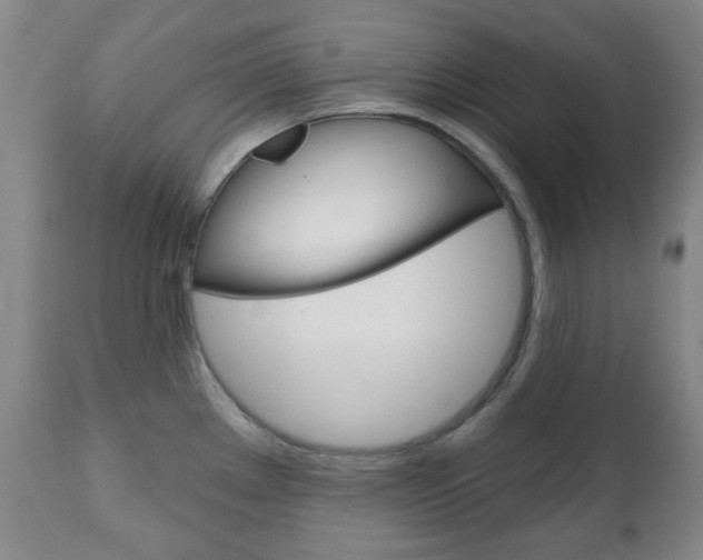 X0000111051289200906251110