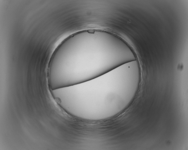 X0000111051291200906251110