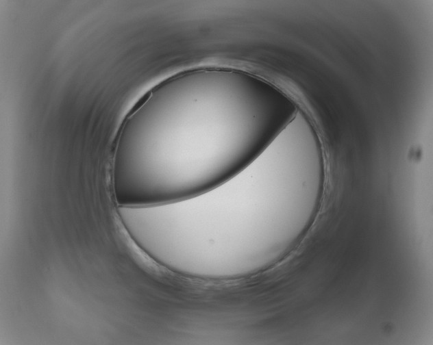 X0000111051292200906251110