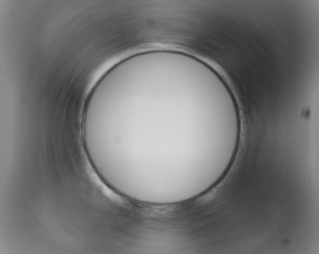 X0000111051294200906251110