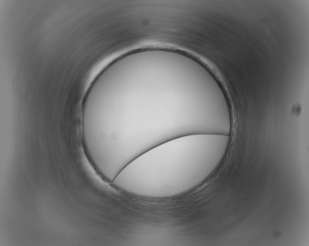 X0000111051295200906251110