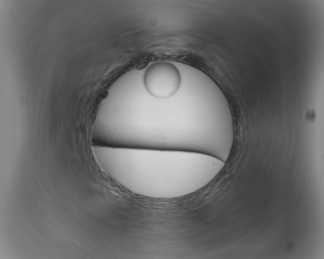 X0000111051297200906251109