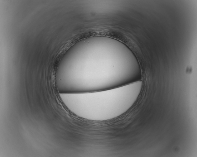 X0000111051298200906251109