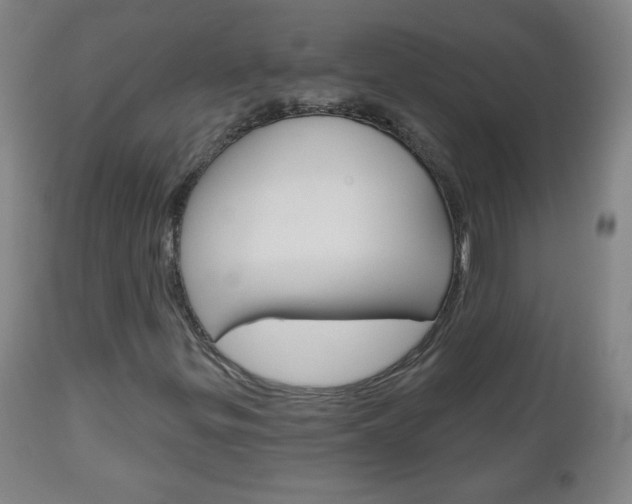 X0000111051299200906251109