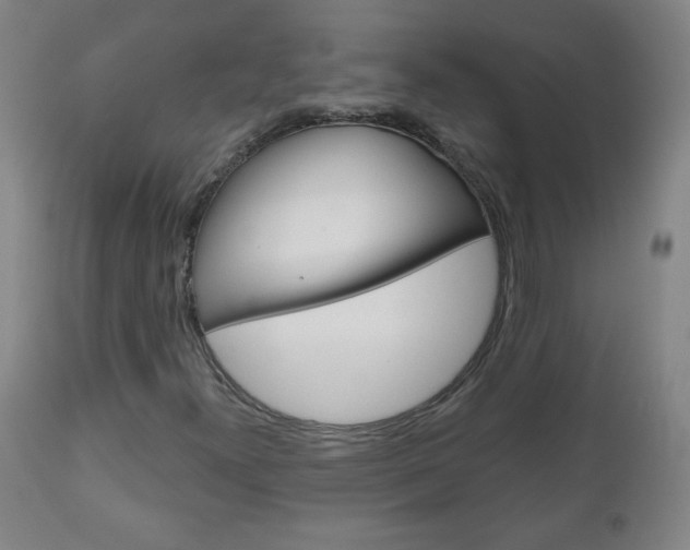 X0000111051300200906251109