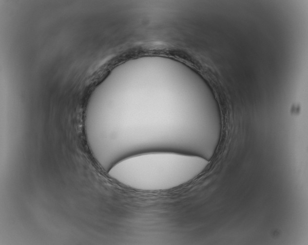 X0000111051301200906251109