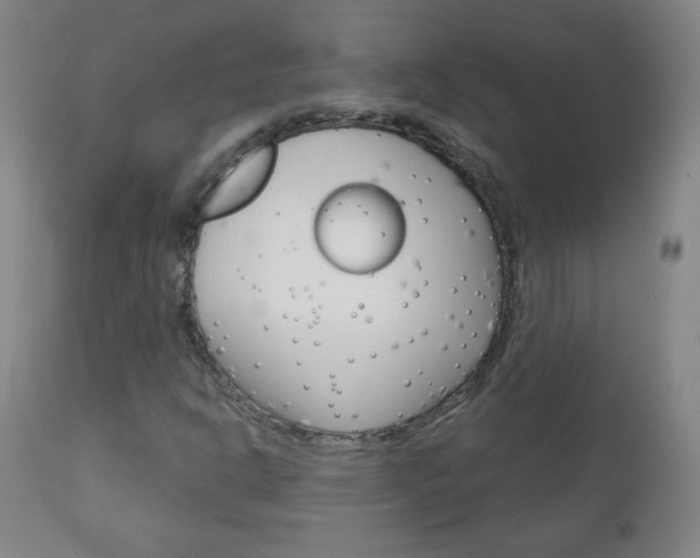 X0000111051302200906251109