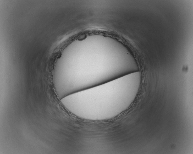 X0000111051303200906251109