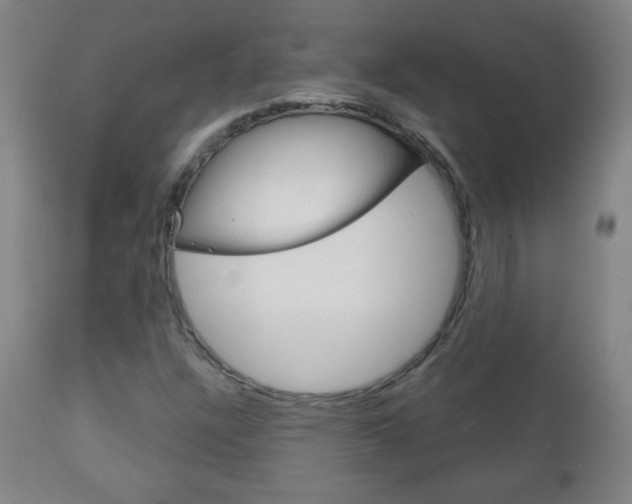 X0000111051304200906251109
