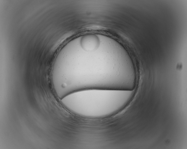 X0000111051305200906251109