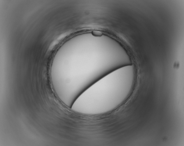 X0000111051307200906251109