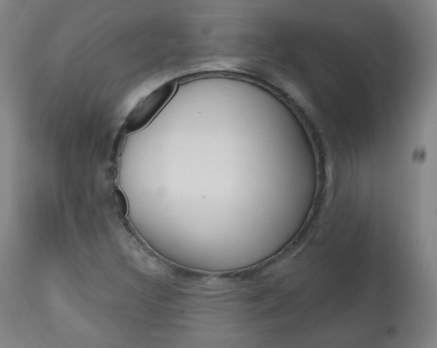 X0000111051308200906251109