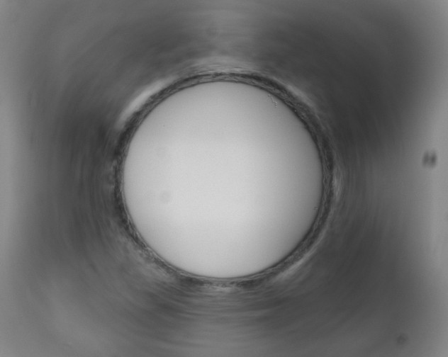 X0000111051309200906251109