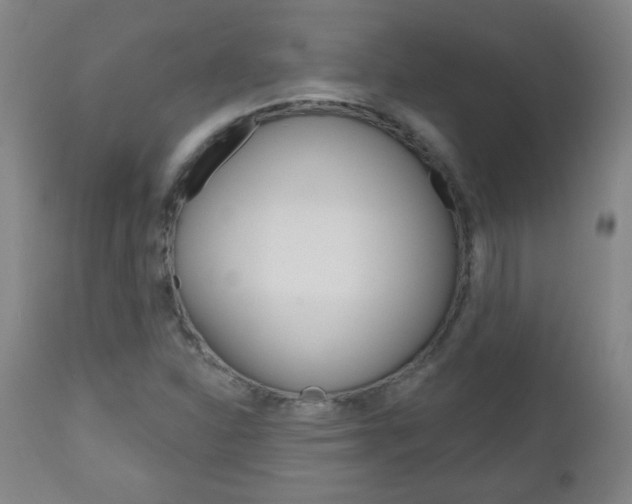 X0000111051310200906251109