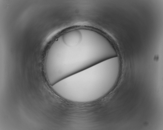 X0000111051311200906251109
